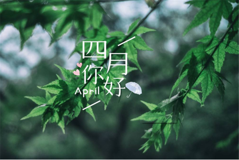 四月你好——轉(zhuǎn)載網(wǎng)絡圖片
